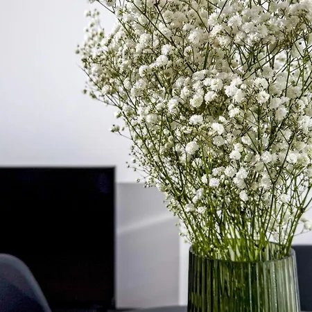 Mickiewicza By Libertarent