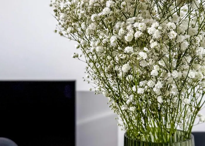 Mickiewicza By Libertarent